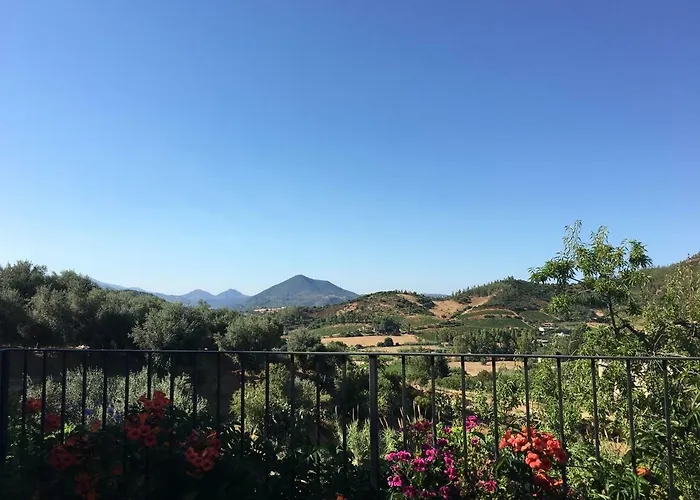 Casa vacanza: Agriturismo S'Orgiola