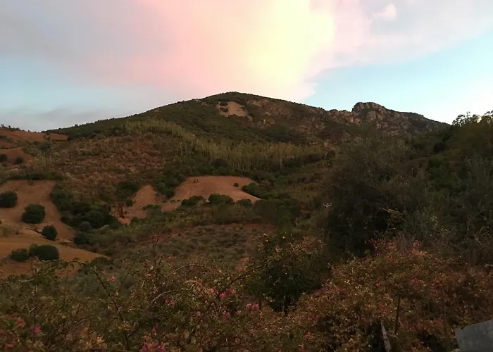 Casa vacanza: Agriturismo S'Orgiola